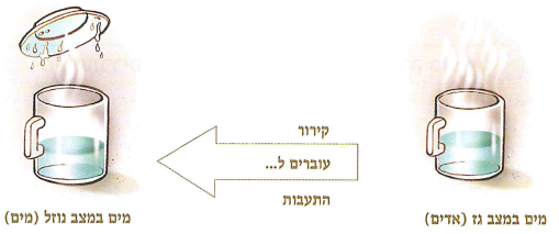 (בספר תרשים, היעזר במנחה)